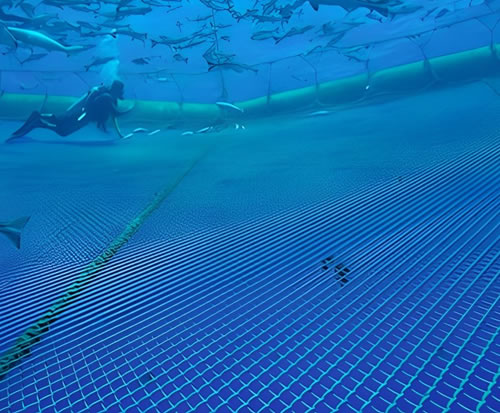 銅ベースの魚の養殖囲い 銅ベースの魚の養殖囲い