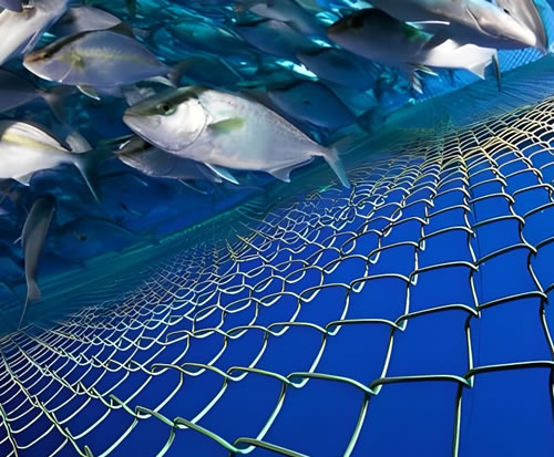 銅入り海洋魚用ペン 銅入り海洋魚用ペン